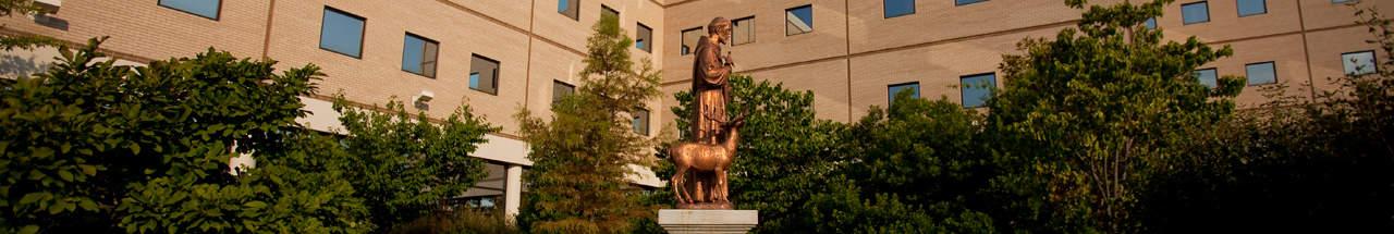 Saint Francis courtyard exterior